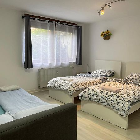 Duesseldorf Messe, 2-Bedroom Duplex Apartment With Terrace And Garden Екстериор снимка